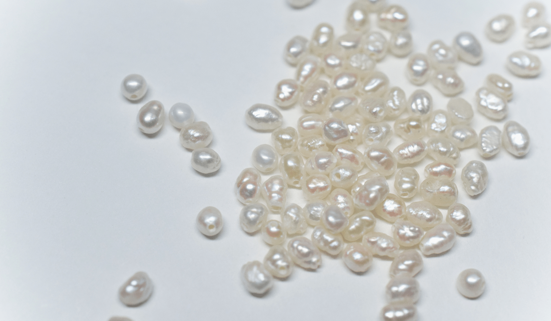 淡水パールアクセサリーの魅力とは? - iroy.